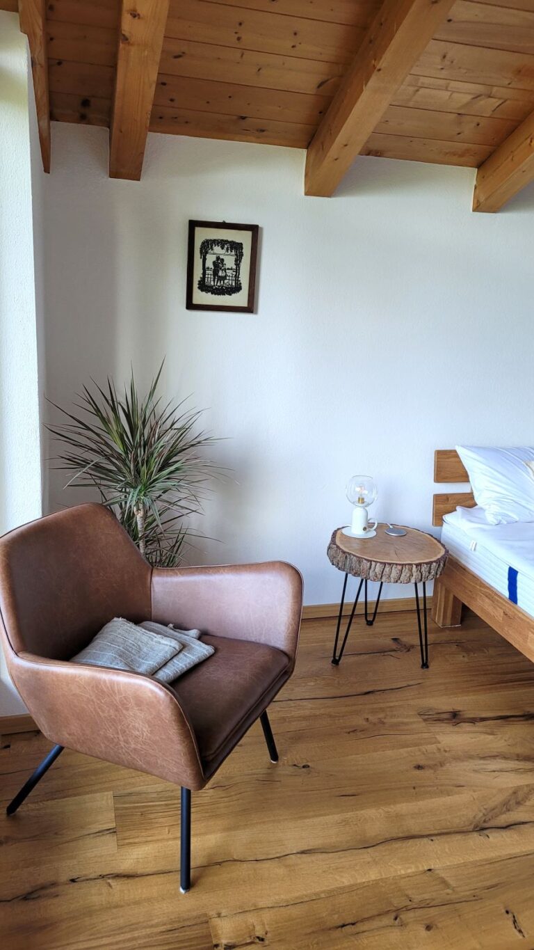 mile-bau-und-design-Malerarbeiten innen-13-2